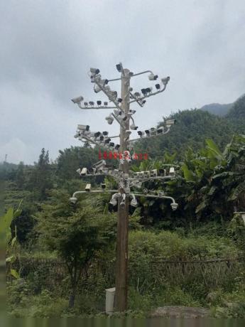 3ff7edf4e4f646eaafe0b2c2382c554c~tplv-tt-origin-web_gif.jpeg
